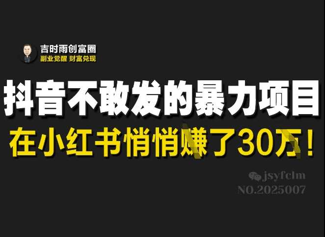 抖音不敢发的暴利项目，在小红书悄悄挣了30W-玖哥网创
