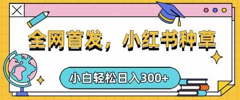 小红书种草，手机项目，日入3张，复制黏贴即可，可矩阵操作，动手不动脑【揭秘】-玖哥网创