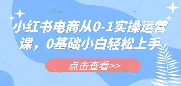 小红书电商从0-1实操运营课，0基础小白轻松上手-玖哥网创