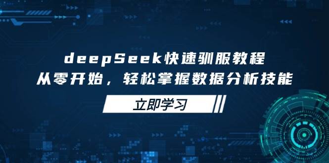 deepSeek快速驯服教程，从零开始，轻松掌握数据分析技能-玖哥网创