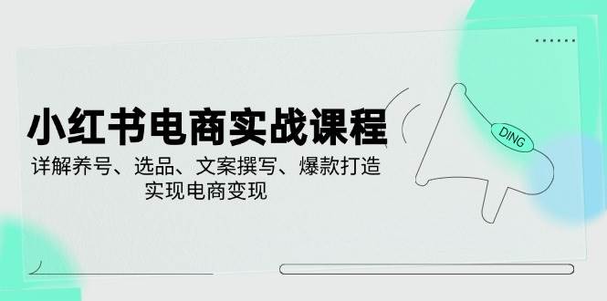 小红书电商实战课程，详解养号、选品、文案撰写、爆款打造，实现电商变现-玖哥网创