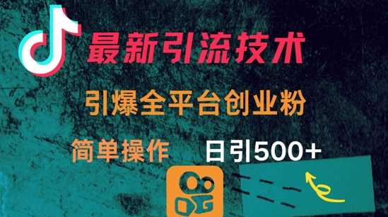 最新引流方法，引爆全平台的一个创业粉，简单操作日引300+-玖哥网创