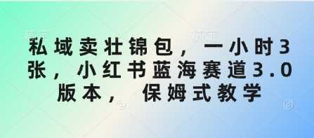 私域卖壮锦包，一小时3张，小红书蓝海赛道3.0版本， 保姆式教学-玖哥网创