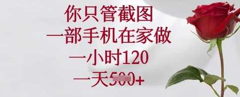 你只管截图，一部手机在家做，一小时120.一天5张【揭秘】-玖哥网创