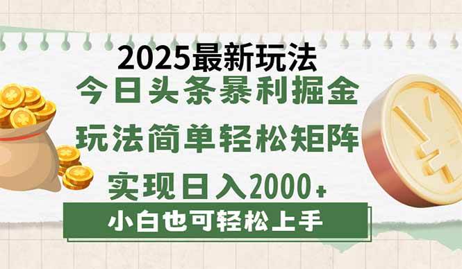 （14120期）今日头条2025最新玩法，思路简单，复制粘贴，轻松实现矩阵日入2000+-玖哥网创