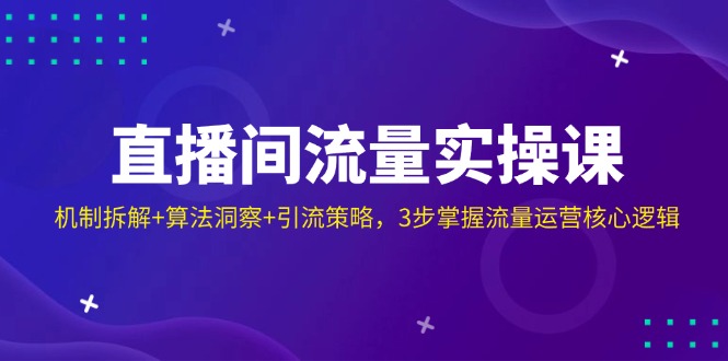 （14122期）直播间流量实操课：机制拆解+算法洞察+引流策略，3步掌握流量运营核心逻辑-玖哥网创