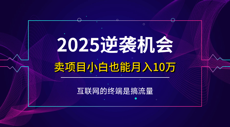 （14122期）项目标题：2025逆袭机会，卖项目小白也能轻松月入10万+-玖哥网创