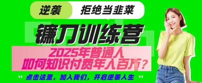 【网创项目终点站-镰刀训练营超级IP合伙人】25年普通人如何通过知识付费实现逆袭【揭秘】-玖哥网创