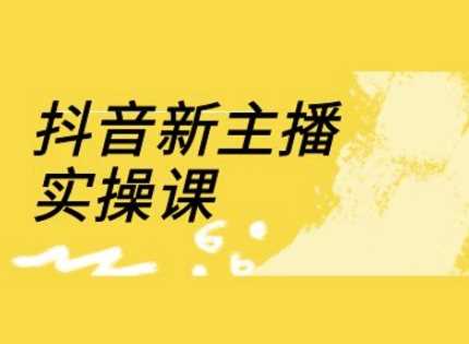 抖音新主播实操课，直播间流量运营线上实操课(18节)-玖哥网创