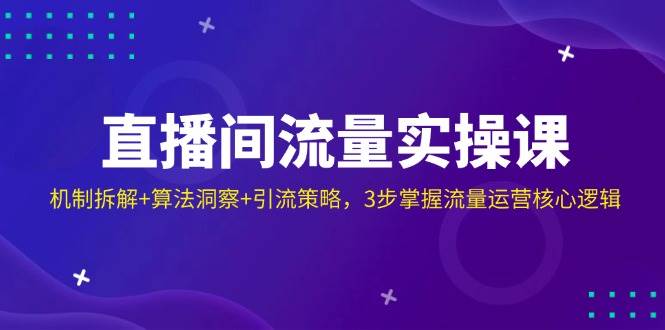 直播间流量实操课：机制拆解+算法洞察+引流策略，3步掌握流量运营核心逻辑-玖哥网创