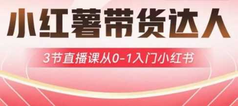 小红薯达人带货启航计划，3节直播课从0-1入门小红书-玖哥网创