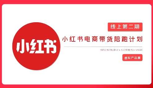 2025小红书虚拟电商实战课，从0到1打造无货源店铺，AI+爆款笔记轻松变现-玖哥网创