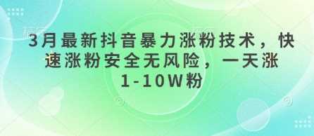 3月最新抖音暴力涨粉技术，快速涨粉安全无风险，一天涨1-10W粉-玖哥网创