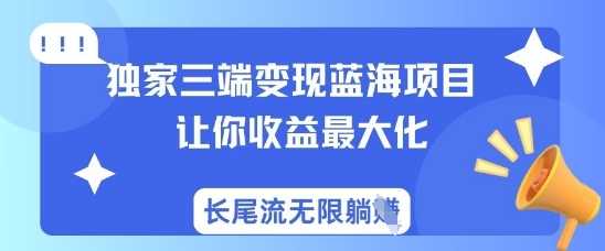 独家三端变现蓝海项目，让你收益最大化，长尾流无限躺挣-玖哥网创