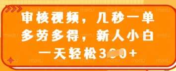 审核视频，几秒一单，多劳多得，新人小白一天轻松3张【揭秘】-玖哥网创