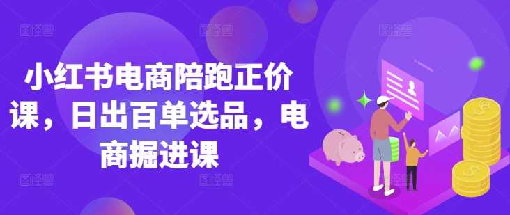小红书电商陪跑正价课，小红书官方认证电商讲师教学，日出百单选品，电商掘进课-玖哥网创
