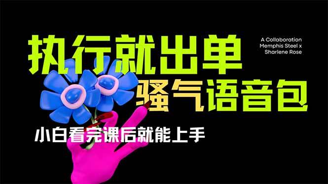 （14170期）爆火全网的开车导航骚气语音包,只要执行就出单，小白看完课程就能实操…-玖哥网创