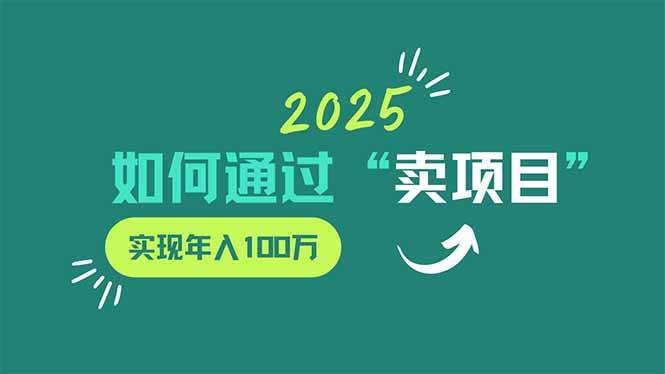 （14176期）2025年如何通过“卖项目”实现年入100万-玖哥网创