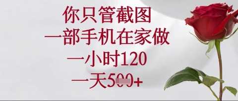 你只管截图，一部手机在家操作，一小时120.一天5张【揭秘】-玖哥网创