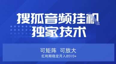 【搜狐音频挂G】独家技术，可矩阵可放大，红利期稳定月入8k【揭秘】-玖哥网创