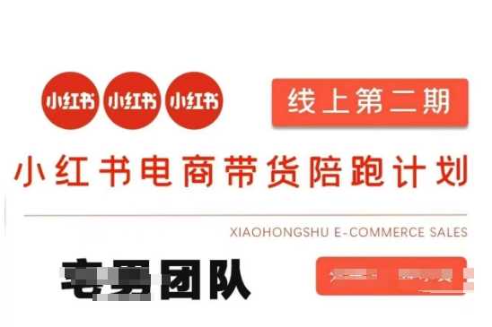 小红书电商带货课2期，月利润20个的小红书电商的有货源，无货源，虚拟产品，付费投流等整套玩法-玖哥网创