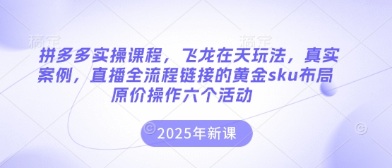 拼多多实操课程，飞龙在天玩法，真实案例，直播全流程链接的黄金sku布局原价操作六个活动-玖哥网创