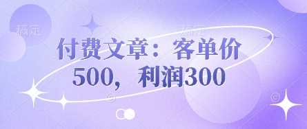 付费文章：客单价500，利润300-玖哥网创