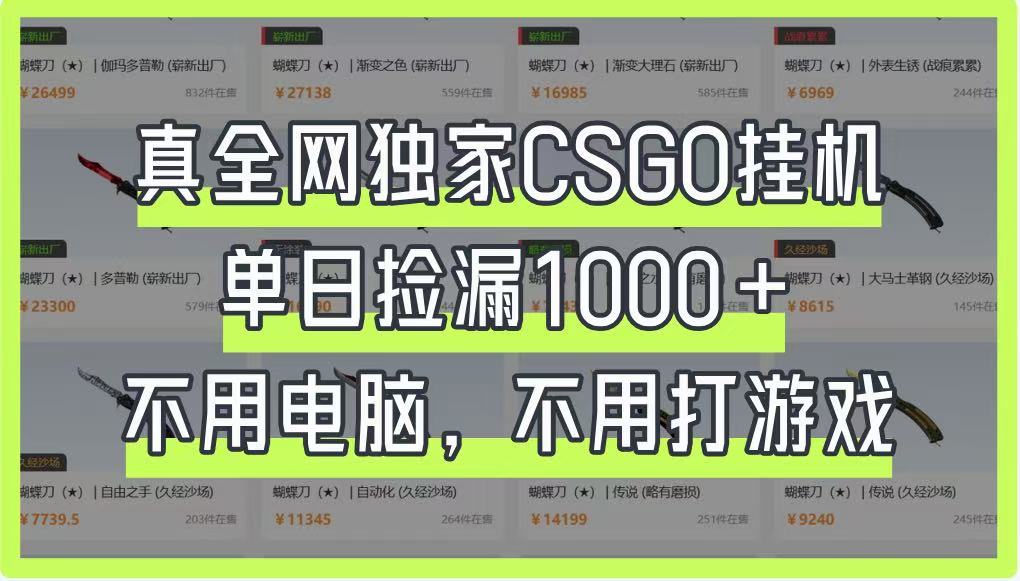 真全网独家CSGO挂机，单日捡漏1000+，不用电脑，不用养号-玖哥网创