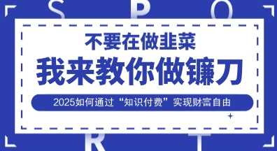 韭菜生涯终结者，我来教你做镰刀，2025如何通过“知识付费”实现财F自由【揭秘】-玖哥网创