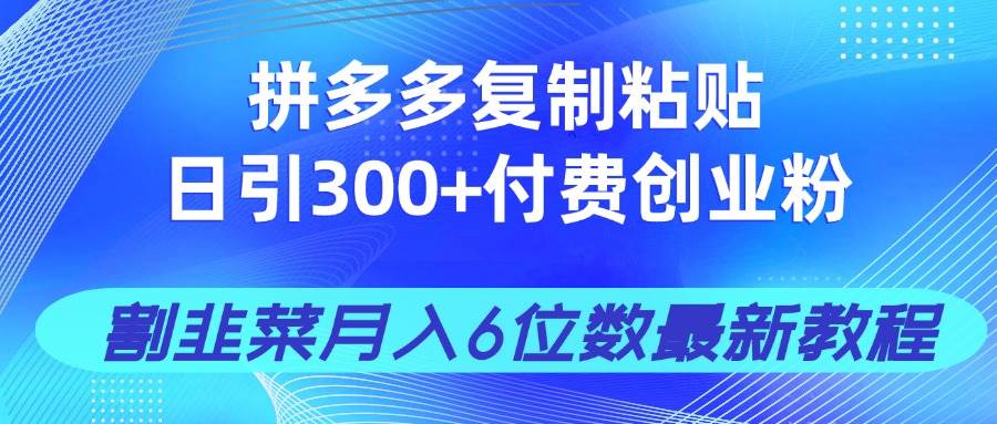 （14232期）拼多多复制粘贴日引300+付费创业粉，割韭菜月入6位数最新教程！-玖哥网创