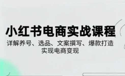 小红书从0-1实操课(2023-2025)，详解养号、选品、文案撰写、爆款打造实现电商变现-玖哥网创