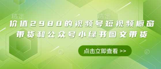 价值2980的视频号短视频橱窗带货和公众号小绿书图文带货-玖哥网创