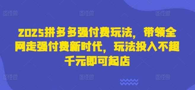 2025拼多多强付费玩法，带领全网走强付费新时代，玩法投入不超千元即可起店-玖哥网创