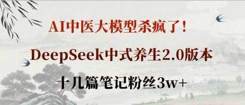 AI中医大模型杀疯了！DeepSeek中式养生2.0版本，十几篇笔记粉丝3w+-玖哥网创