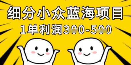 细分小众蓝海项目，一单利润3张，每月收入稳定过1w+-玖哥网创