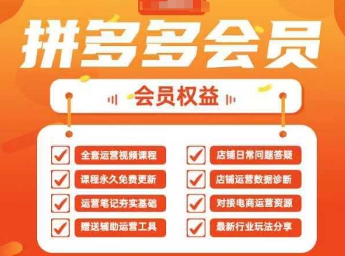 2025拼多多运营实战课，40节全流程教学，覆盖拼多多运营全链路-玖哥网创