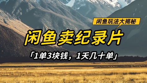 闲鱼卖纪录片1单3块钱，1天几十单，项目稳定有潜力-玖哥网创