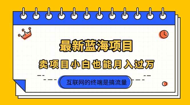 （14289期）2025年最新蓝海项目，卖项目小白也能月入过万-玖哥网创
