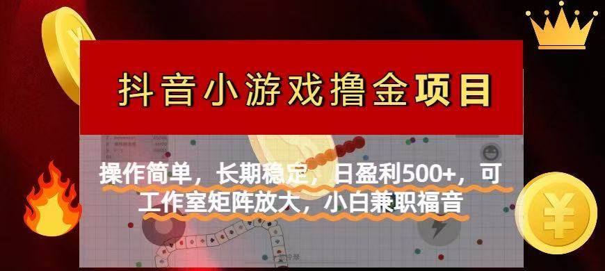 （14290期）【抖音小游戏发行人计划项目】操作简单，长期稳定，日盈利500+，可工作…-玖哥网创