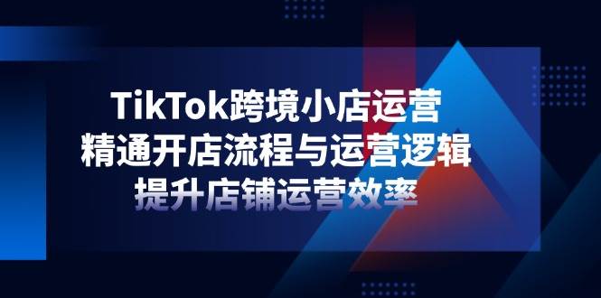 （14369期）TikTok跨境小店运营，精通开店流程与运营逻辑，提升店铺运营效率-玖哥网创