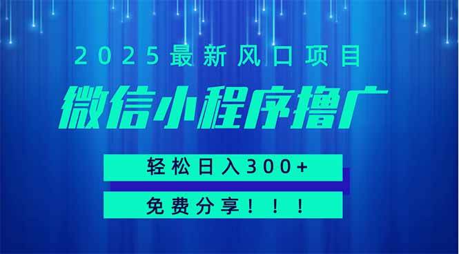 （14375期）微信小程序撸广，最新风口项目，日入300+ 免费分享 可批量操作 小白可…-玖哥网创