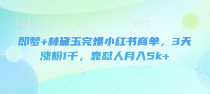 即梦+林黛玉完爆小红书商单，3天涨粉1千，靠怼人月入5k+-玖哥网创