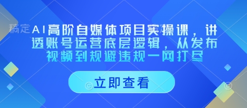 AI高阶自媒体项目实操课，讲透账号运营底层逻辑，从发布视频到规避违规一网打尽-玖哥网创