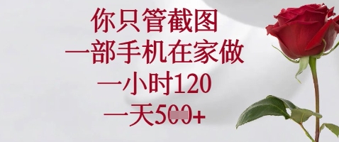 你只管截图，一部手机在家做，苹果安卓都可以，一小时120，一天5张+【揭秘】-玖哥网创