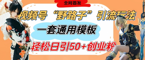 视频号“野路子”玩法，评论区疯狂截流，一套模板单日单号引流50+创业粉-玖哥网创