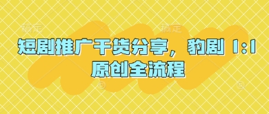 短剧推广干货分享，豹剧 1:1原创全流程-玖哥网创
