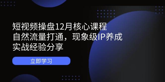 （14447期）短视频操盘12月核心课程：自然流量打通，现象级IP养成，实战经验分享-玖哥网创