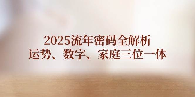 （14466期）2025流年密码全解析，运势、数字、家庭三位一体-玖哥网创