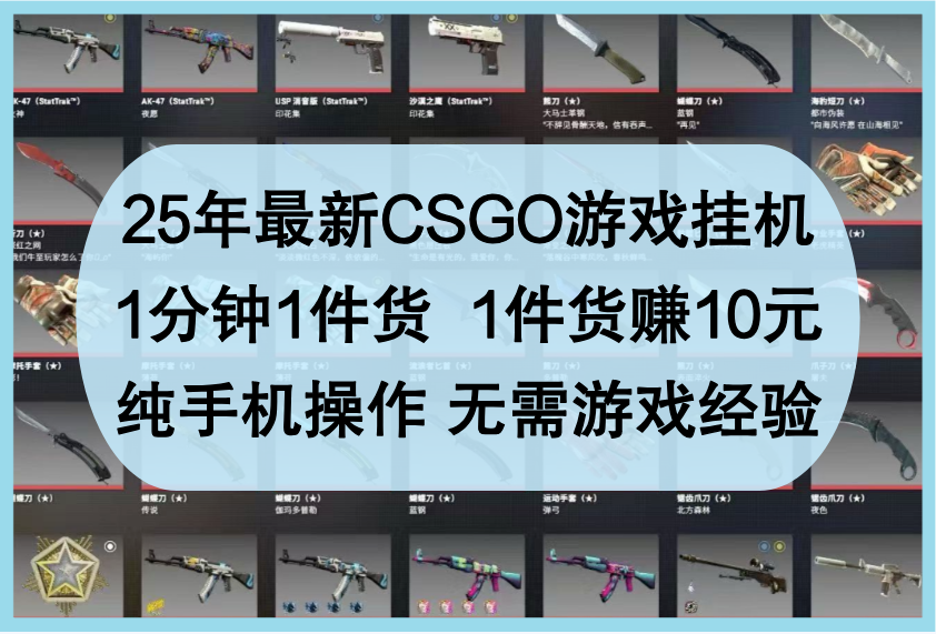 25年最新CSGO游戏挂机，1分钟1件货，1件货赚10元，纯手机操作，无需游戏经验-玖哥网创