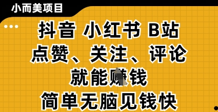 小而美的项目，抖音小红书B站视频点赞、关注、评论就能挣钱，简单无脑立见收益，妥妥的零撸项目【揭秘】-玖哥网创
